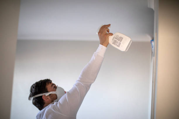 Best Crawl Space Mold Removal  in Alpine, TX
