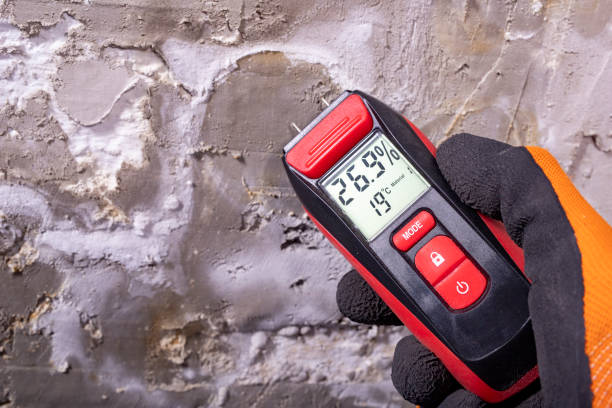 Best Water Damage Restoration  in Alpine, TX