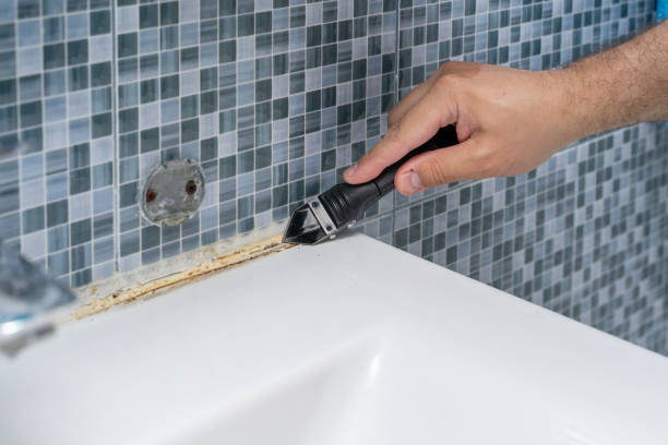 Best Emergency Mold Removal  in Alpine, TX